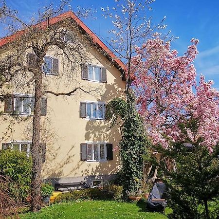 70Qm 3-Zimmer Apartment Am Tauernradweg In Hallein Bei Salzburg, Nahe Berchtesgaden, Rossfeld, Kehlsteinhaus, Obersalzberg, Watzmann, Schoenau Am Koenigsee, Bad Vigaun, Schloss Hellbrunn, Burg Hohen Salzburg, Burg Hohen Werfen # Beherbergungsbetrieb Zewnętrze zdjęcie