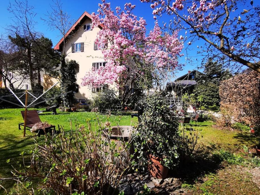 70Qm 3-Zimmer Apartment Am Tauernradweg In Hallein Bei Salzburg, Nahe Berchtesgaden, Rossfeld, Kehlsteinhaus, Obersalzberg, Watzmann, Schoenau Am Koenigsee, Bad Vigaun, Schloss Hellbrunn, Burg Hohen Salzburg, Burg Hohen Werfen # Beherbergungsbetrieb Zewnętrze zdjęcie