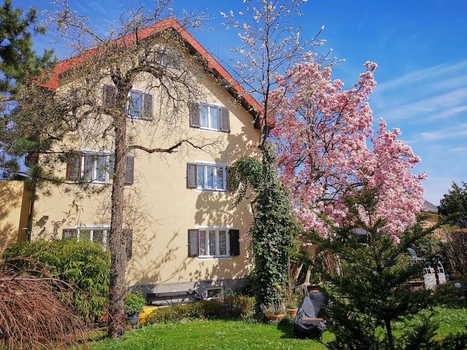 70Qm 3-Zimmer Apartment Am Tauernradweg In Hallein Bei Salzburg, Nahe Berchtesgaden, Rossfeld, Kehlsteinhaus, Obersalzberg, Watzmann, Schoenau Am Koenigsee, Bad Vigaun, Schloss Hellbrunn, Burg Hohen Salzburg, Burg Hohen Werfen # Beherbergungsbetrieb Zewnętrze zdjęcie